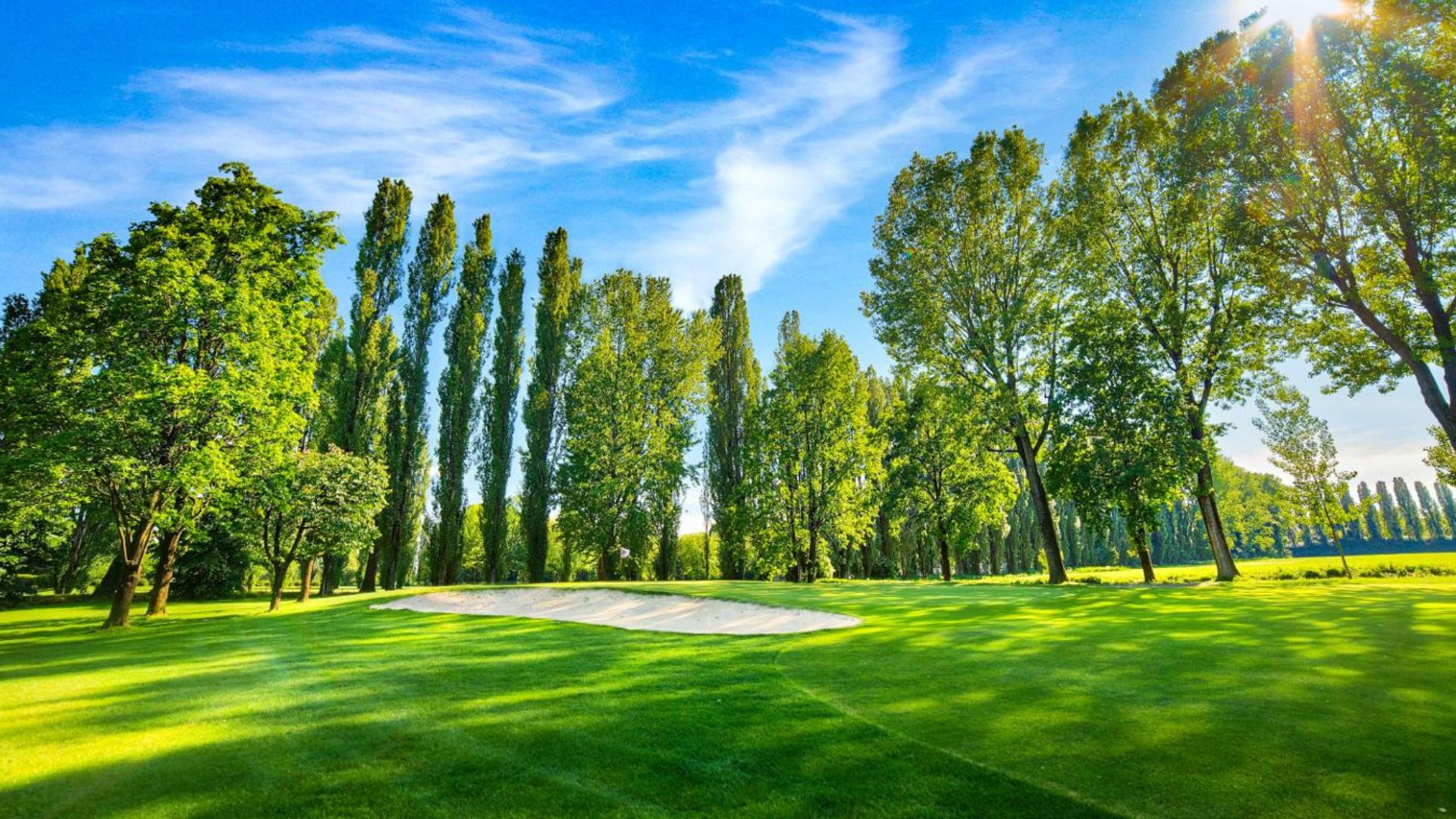 golfclubzoate (1)
